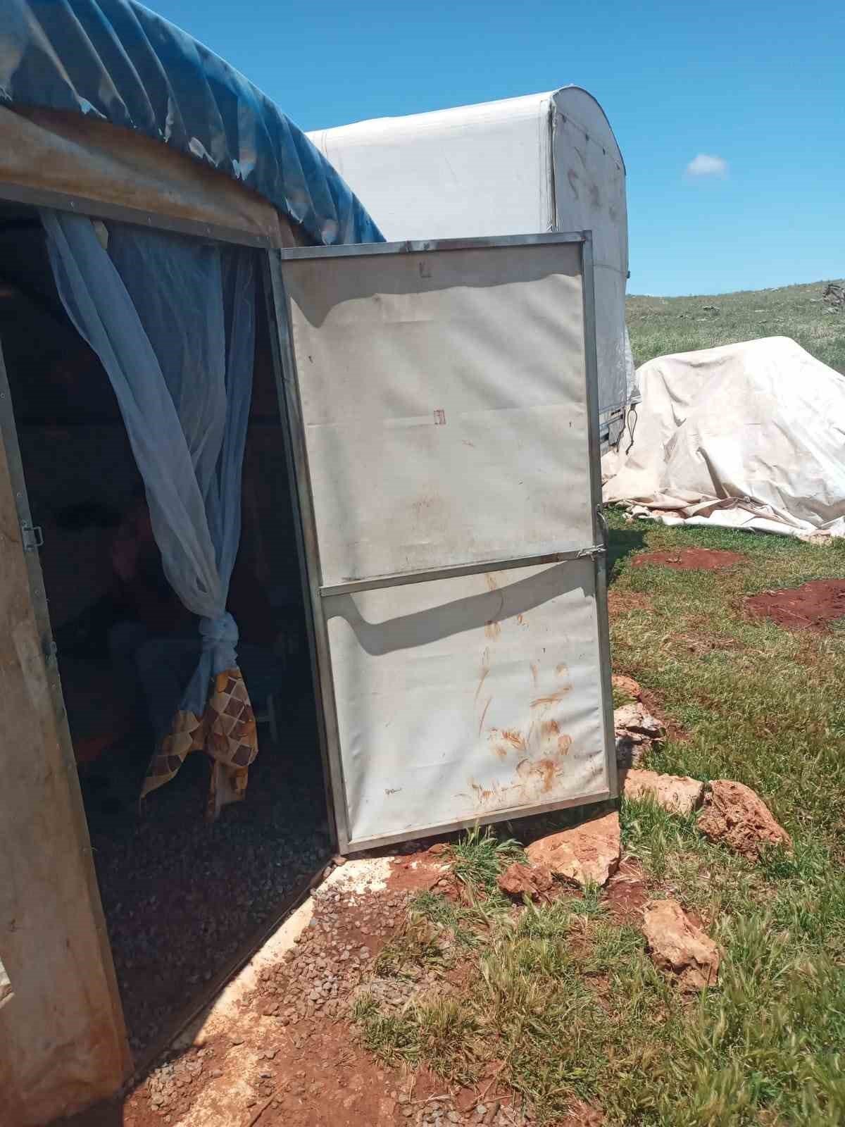 Fırtına ve yağmur 10 koyun telef etti