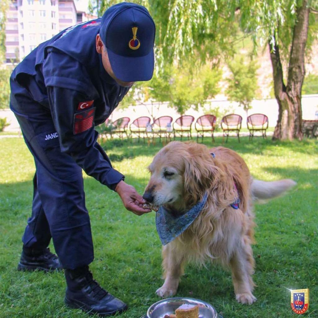Uyuşturucu arama köpeği ‘Altın’ pasta kesilerek emekli edildi