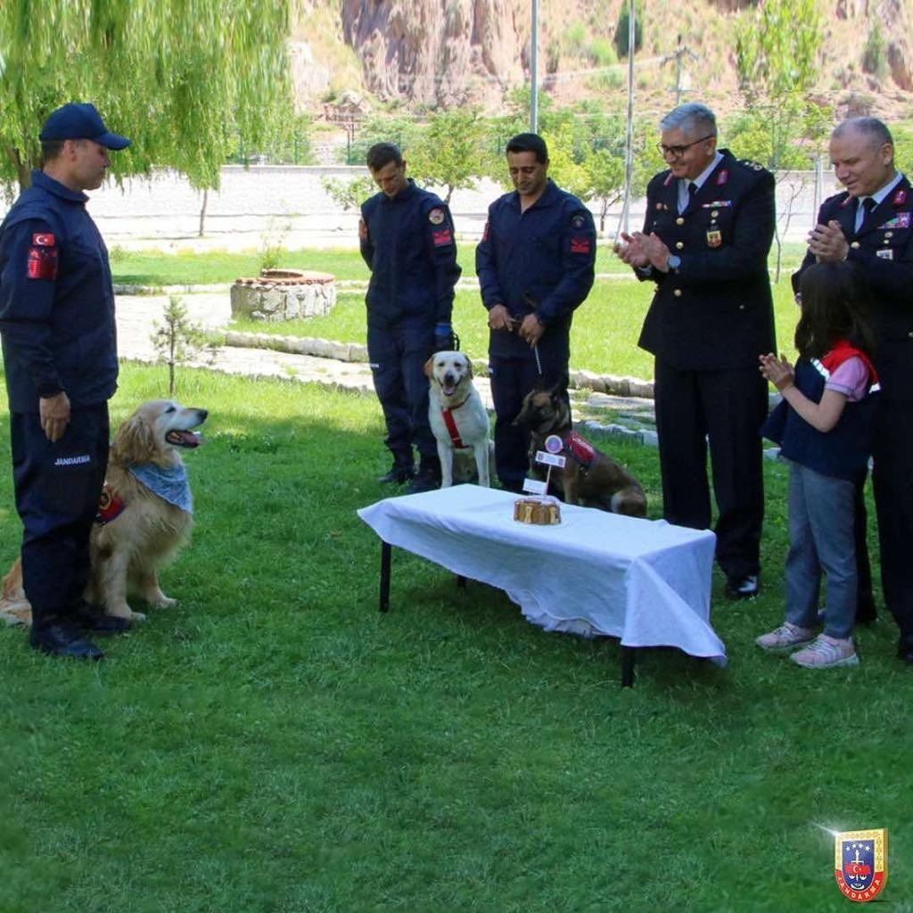 Uyuşturucu arama köpeği ‘Altın’ pasta kesilerek emekli edildi