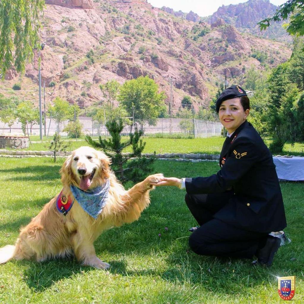 Uyuşturucu arama köpeği ‘Altın’ pasta kesilerek emekli edildi