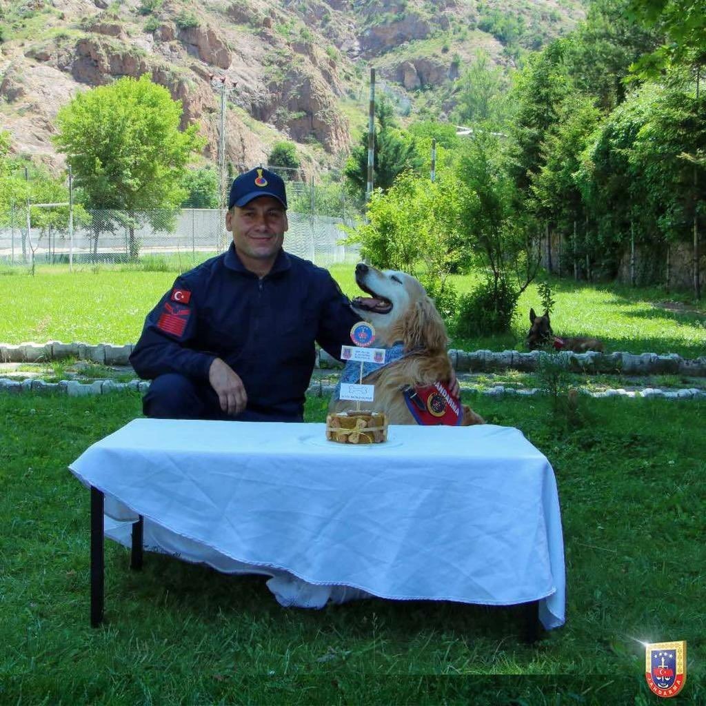 Uyuşturucu arama köpeği ‘Altın’ pasta kesilerek emekli edildi