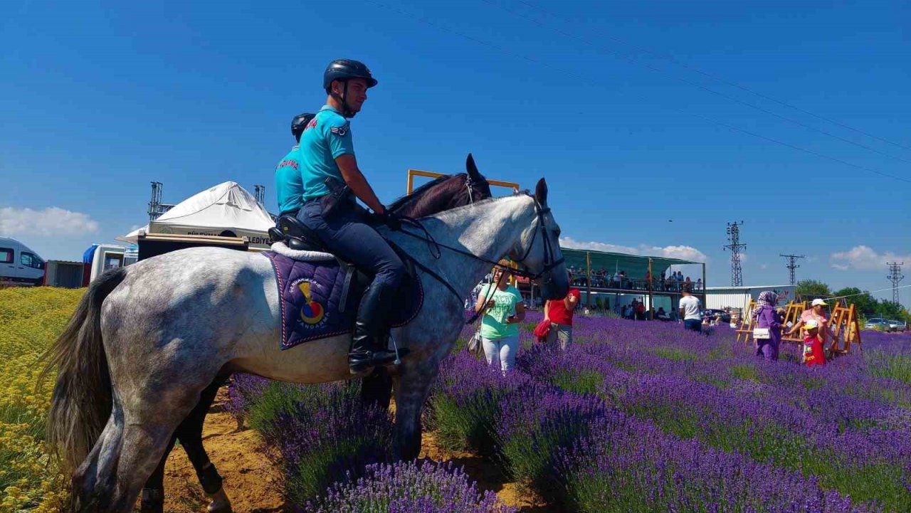 Tekirdağ’da mor şenlik