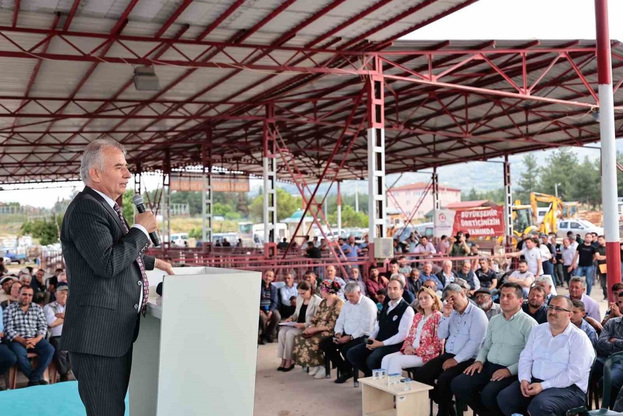 Denizli’de küçükbaş hayvancılığa 7,5 milyon liralık destek