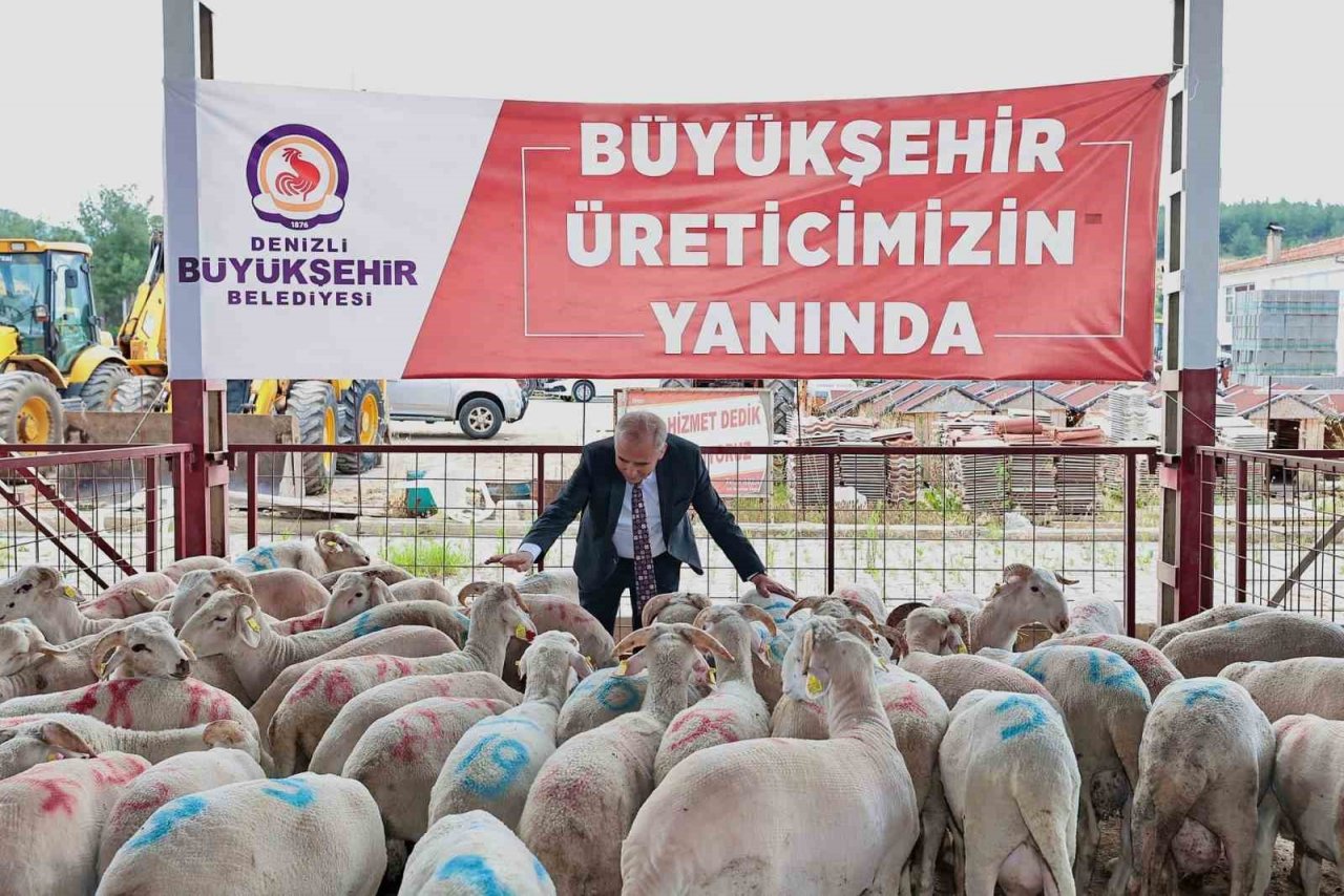 Denizli’de küçükbaş hayvancılığa 7,5 milyon liralık destek