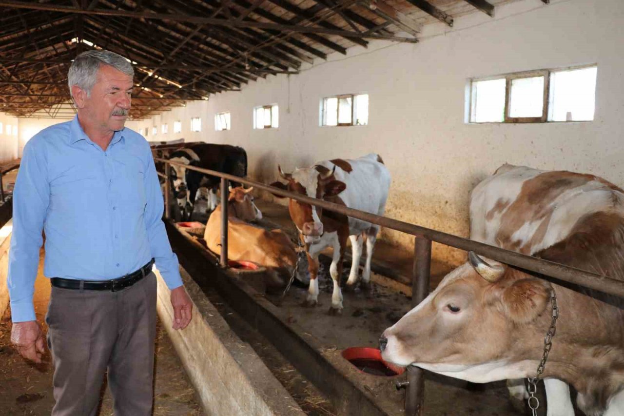 Kurbanlık satışları hızlandı