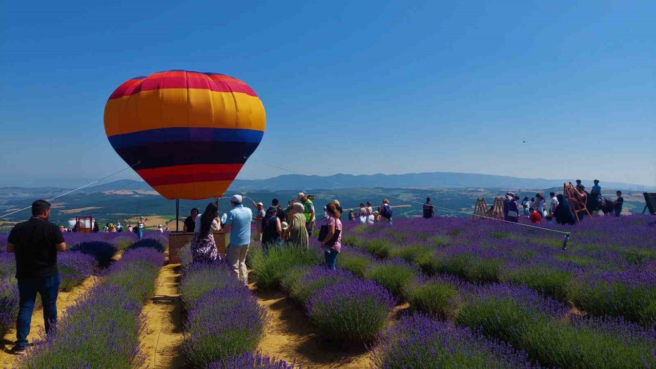 Tekirdağ’da mor şenlik