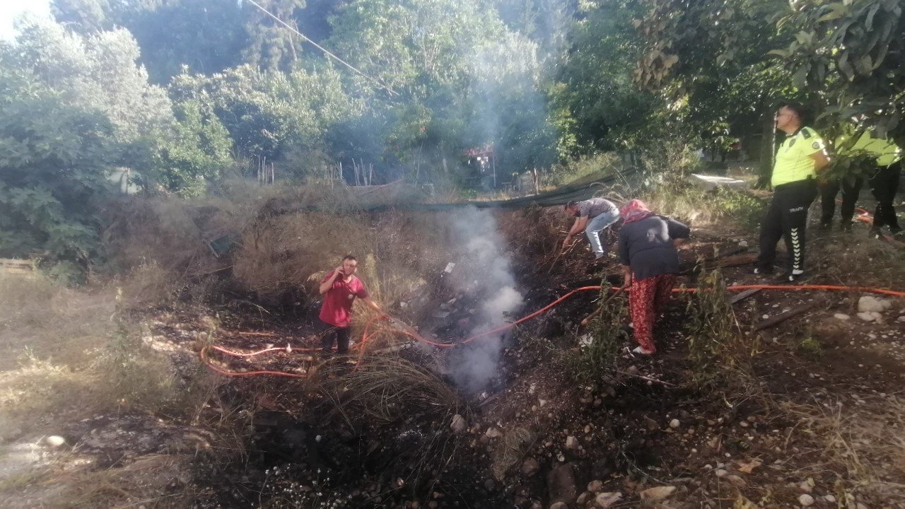 Yılandan korkup ormanı yakıyordu