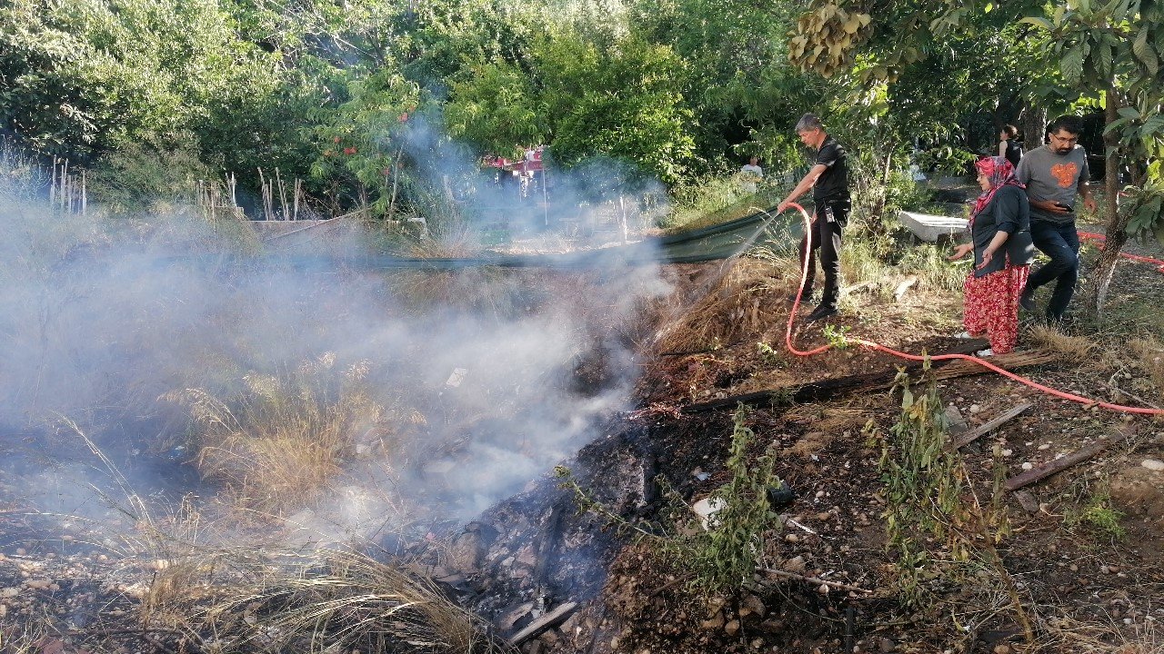 Yılandan korkup ormanı yakıyordu