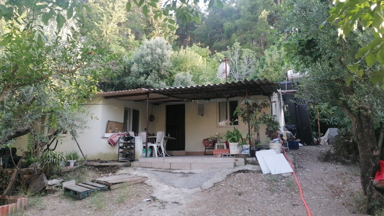 Yılandan korkup ormanı yakıyordu