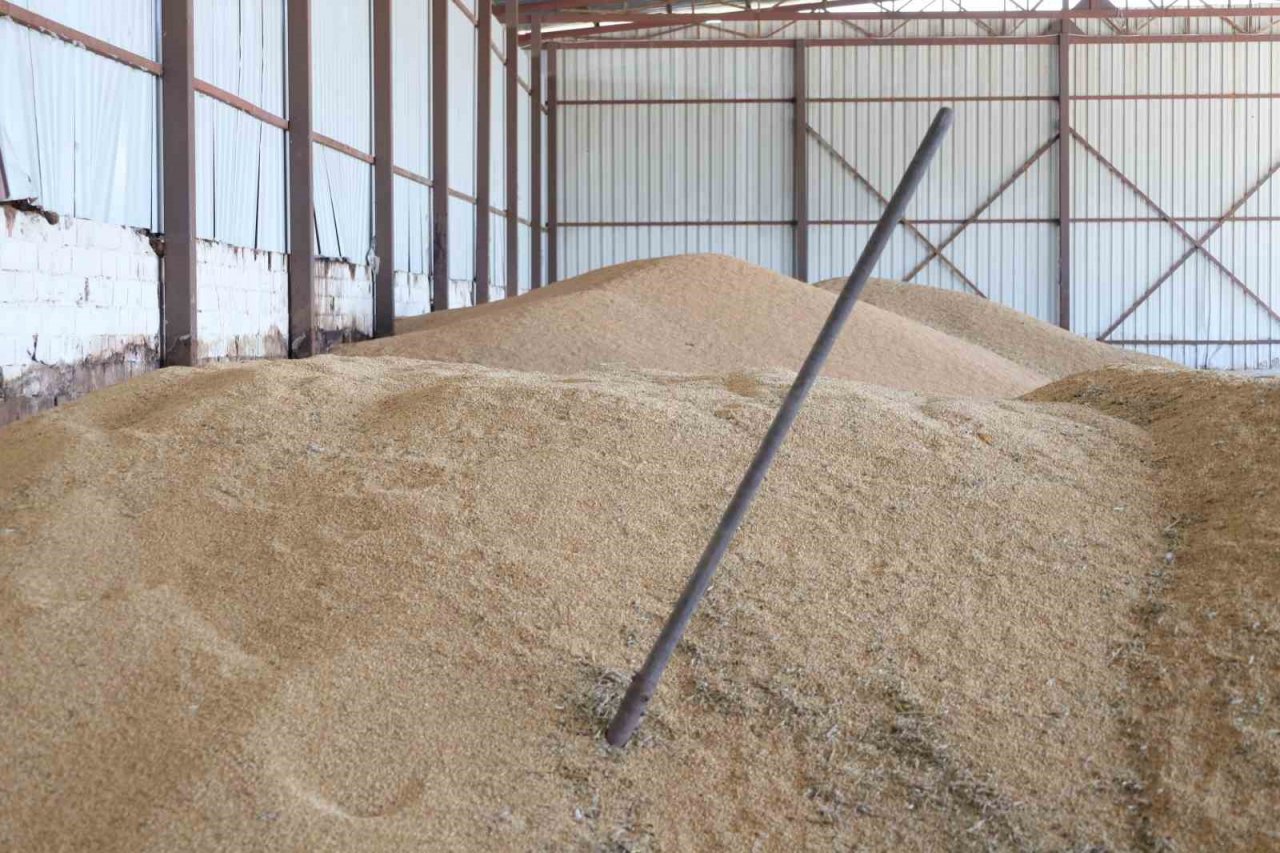 Muğla Tarım ve Orman Müdürü Saylak; “Kimsenin ürünü tarlada kalmayacak”