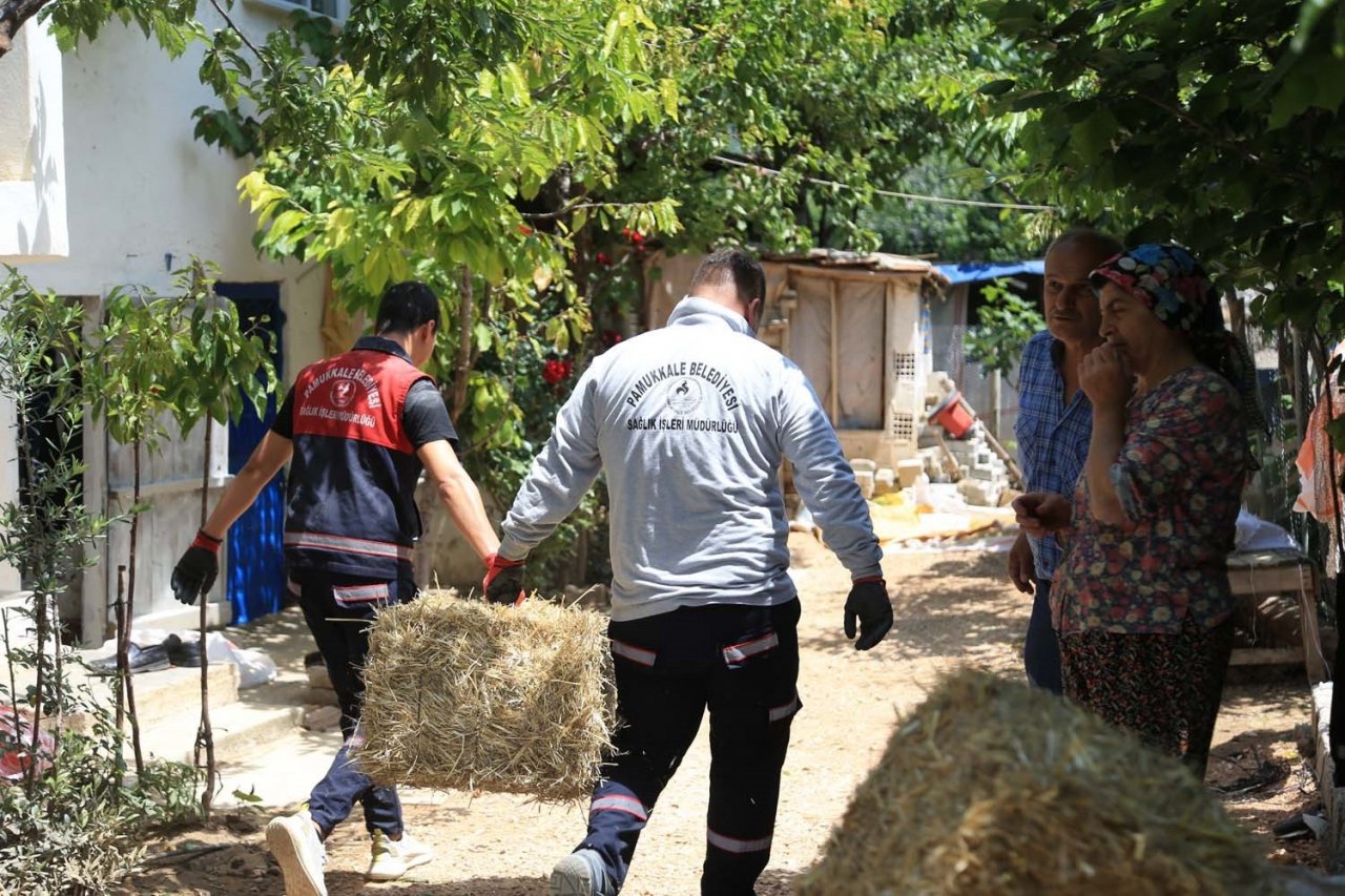 Pamukkale Belediyesi Cankurtaran’da yaraları sarıyor