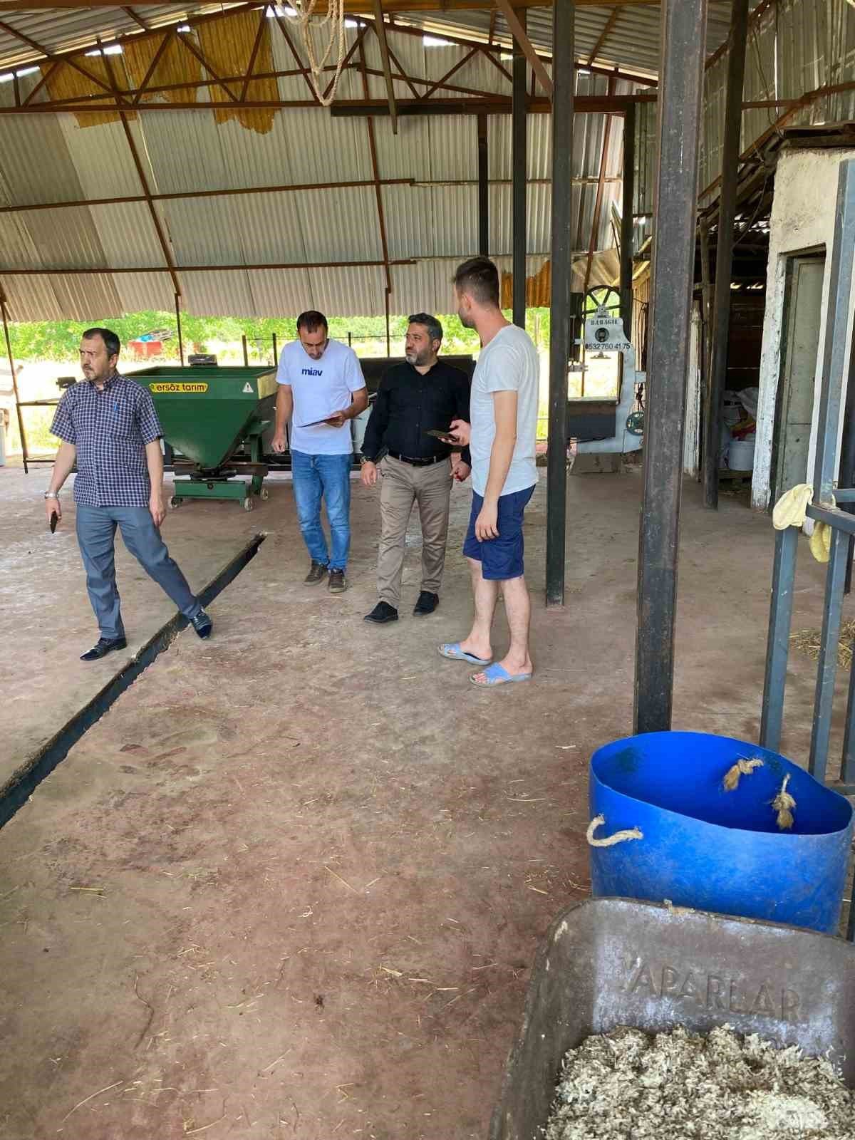 Serdivan’da Kurban Bayramı öncesi zabıta denetimi