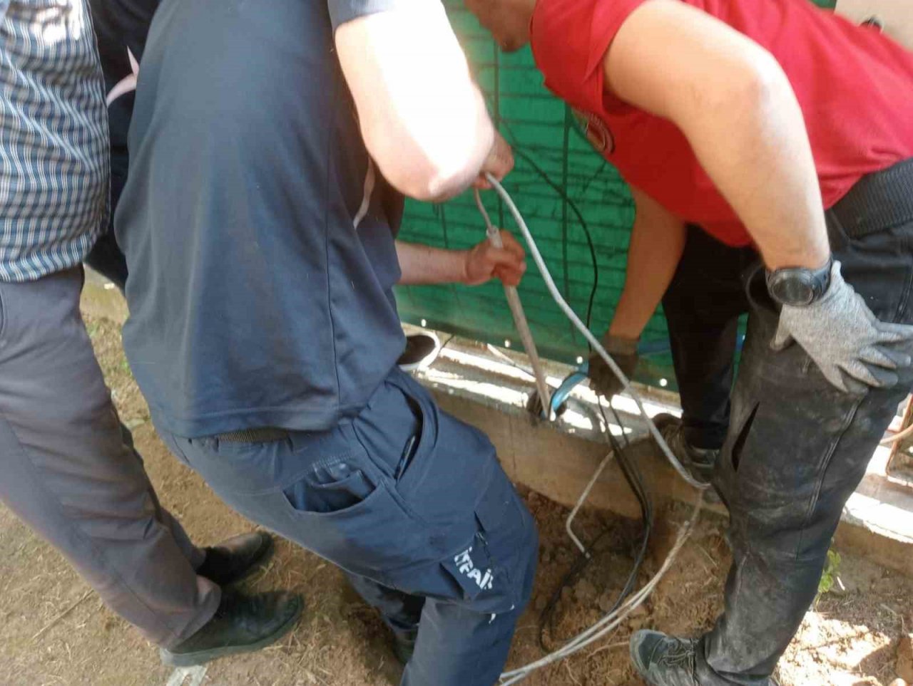 Yağmur borusuna sıkışan kedi 5 saatte kurtarıldı