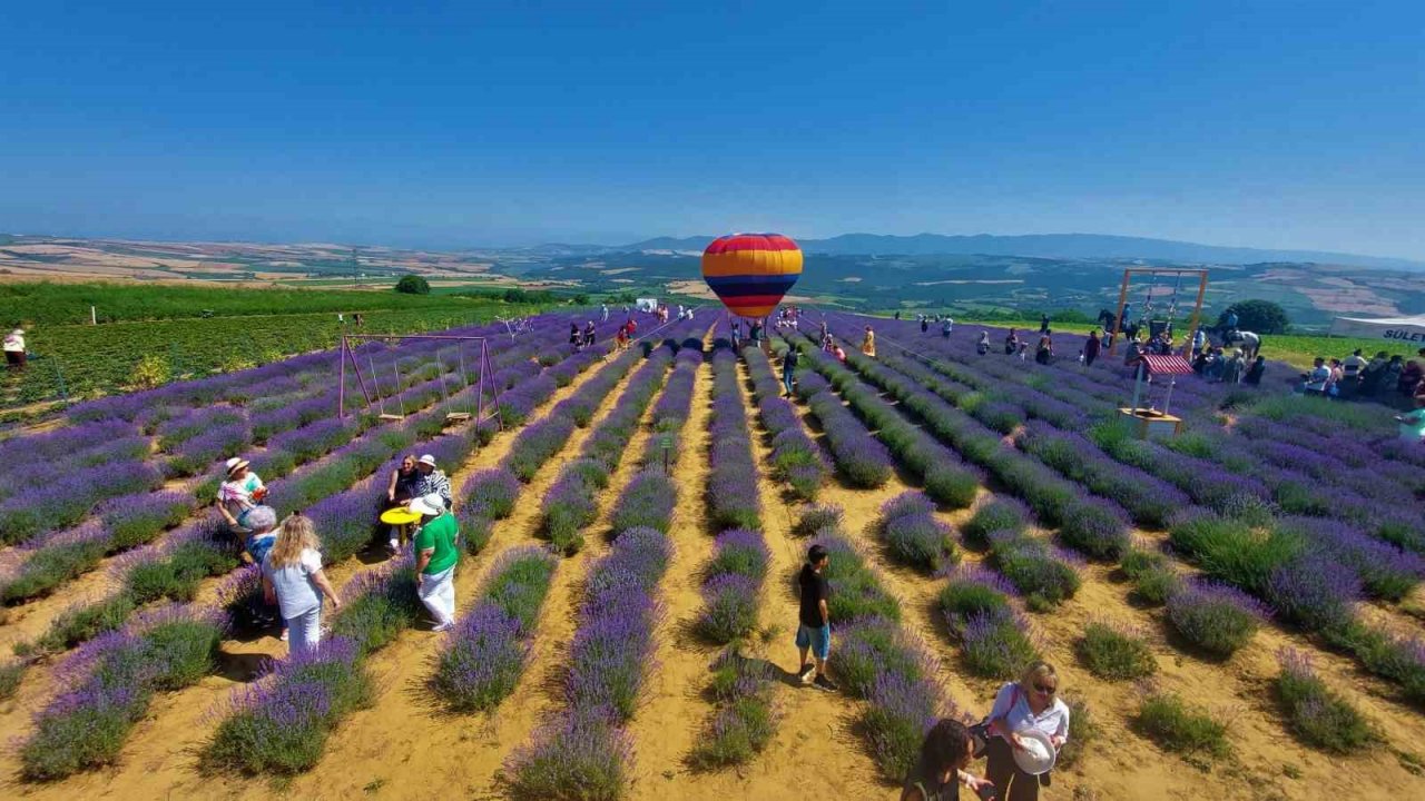 Tekirdağ’da mor şenlik