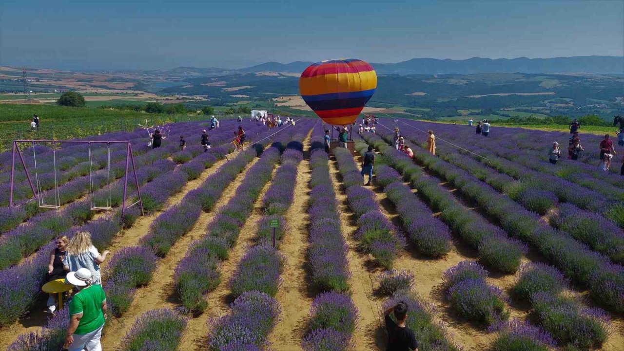 Tekirdağ’da mor şenlik