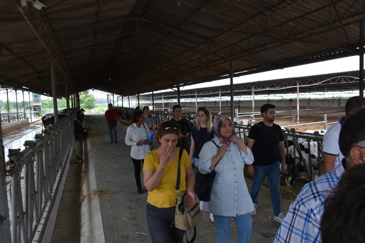 Üreticilere uygulamalı organik kompost yapımı eğitimi verildi