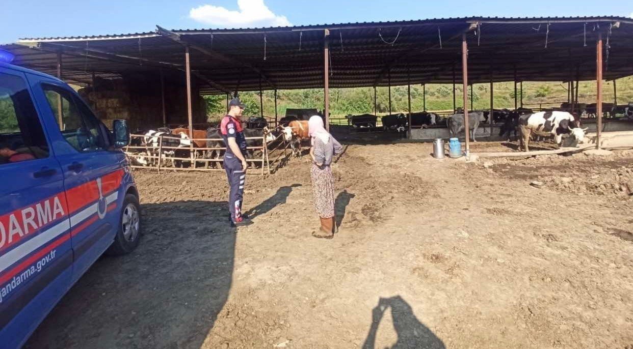 Jandarma ekipleri Kurban Bayramı öncesi uyardı