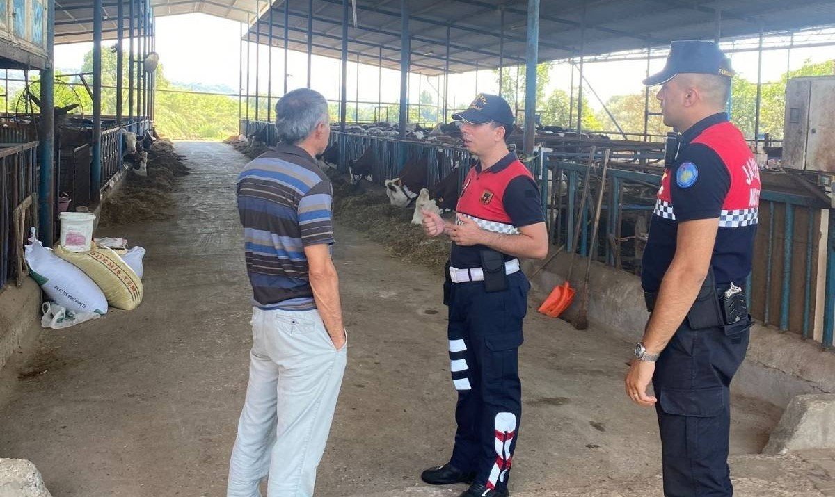 Jandarma ekipleri Kurban Bayramı öncesi uyardı