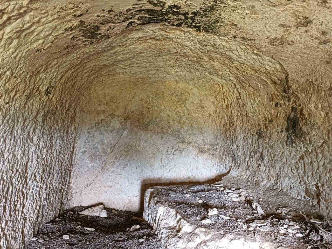 2 bin 700 yıllık kaya mezarı bakımsızlıktan yok oluyor