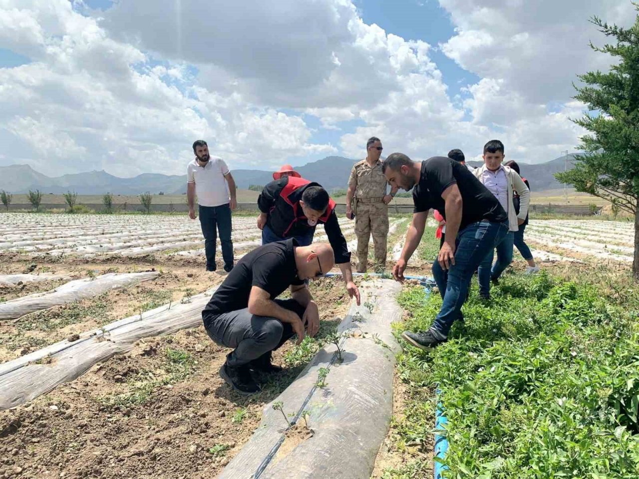 Doğubayazıt Kaymakamı Ekinci, meyve ve sebze bahçelerinde incelemelerde bulundu