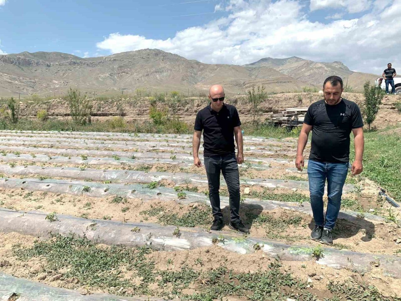 Doğubayazıt Kaymakamı Ekinci, meyve ve sebze bahçelerinde incelemelerde bulundu