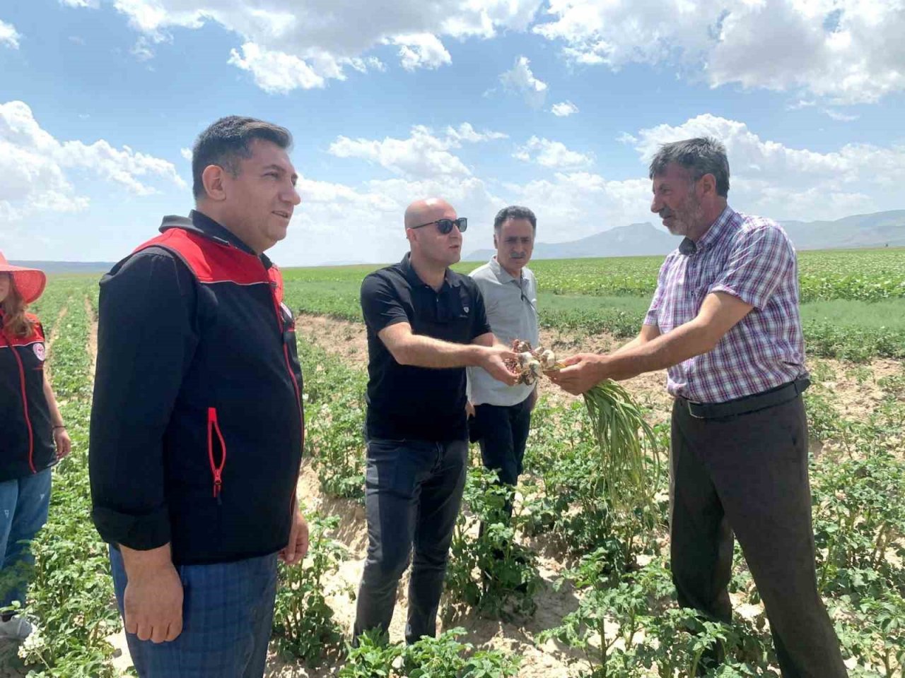 Doğubayazıt Kaymakamı Ekinci, meyve ve sebze bahçelerinde incelemelerde bulundu