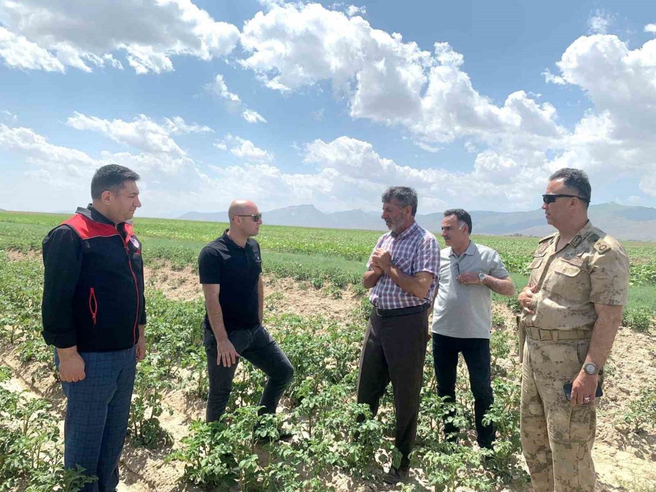 Doğubayazıt Kaymakamı Ekinci, meyve ve sebze bahçelerinde incelemelerde bulundu