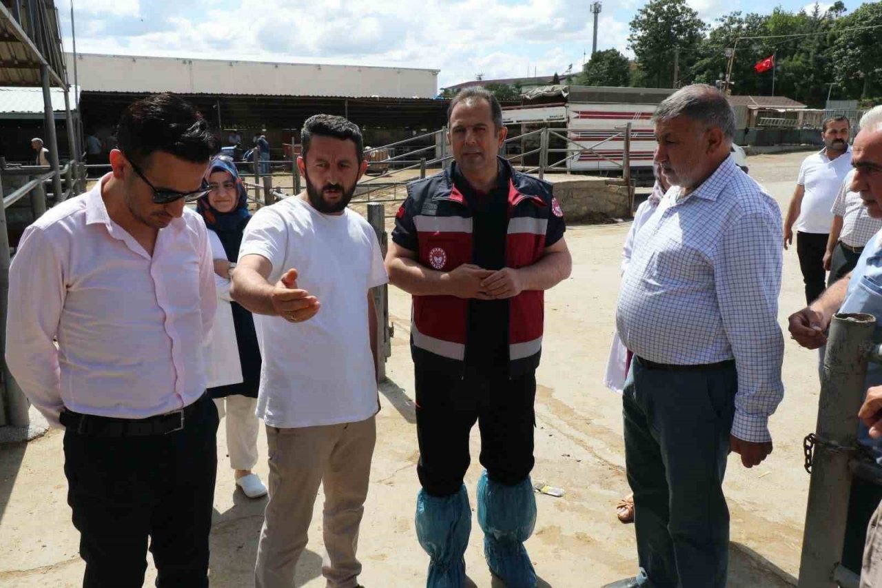 Elazığ’da Hayvan satış yerleri denetlendi