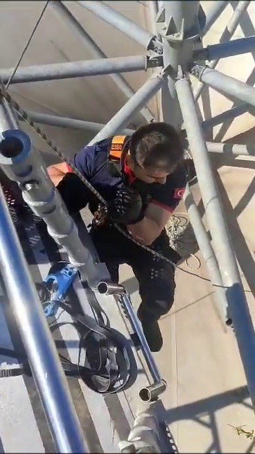 Çatıda mahsur kalan kediyi itfaiye kurtardı