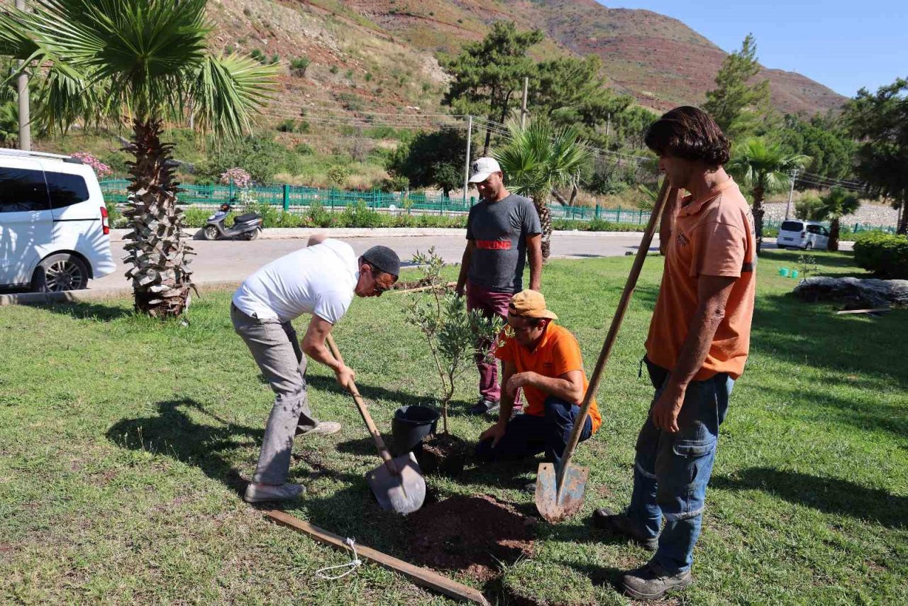 Kardeş şehirden Marmaris’e fidan