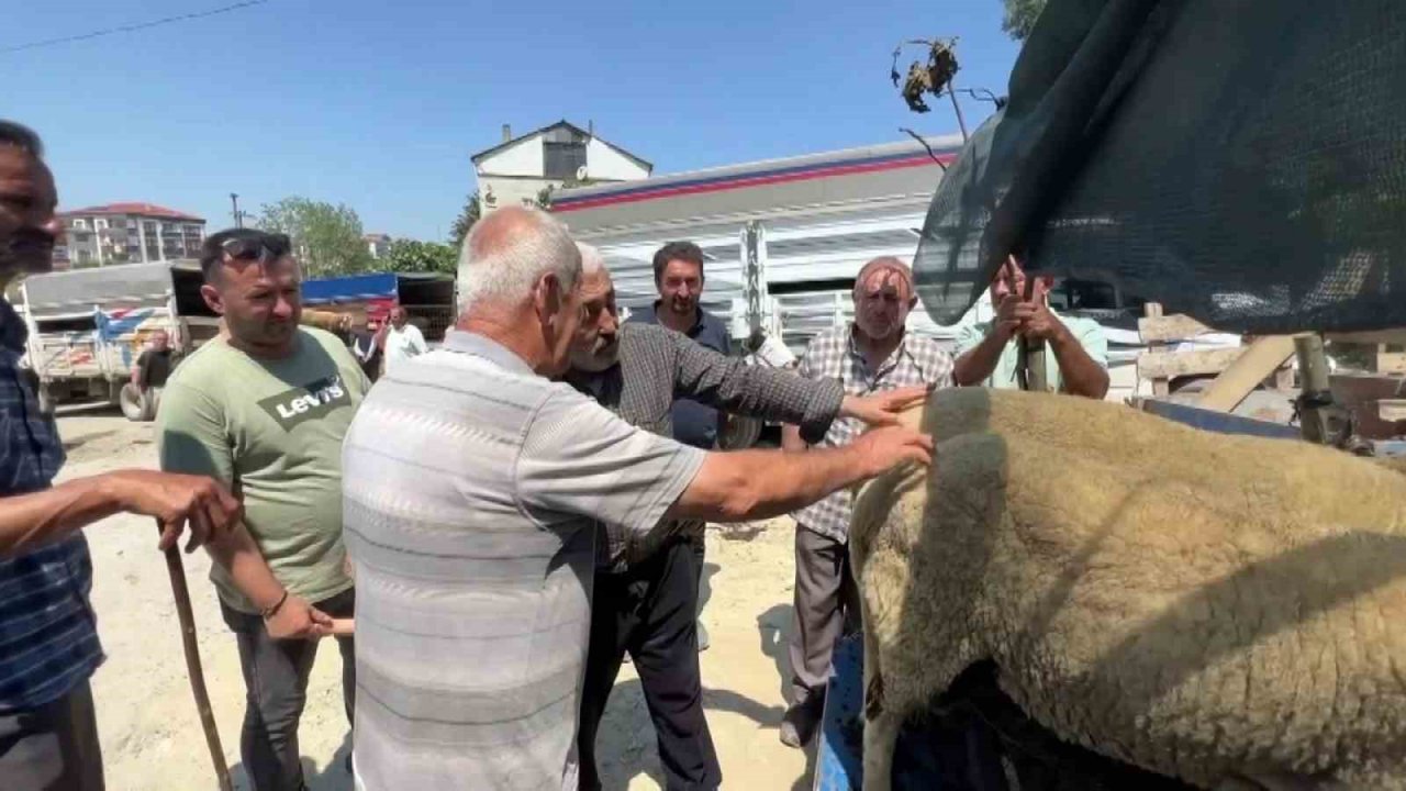 Bayrama sayılı günler kala kurban pazarlarında hareketlilik