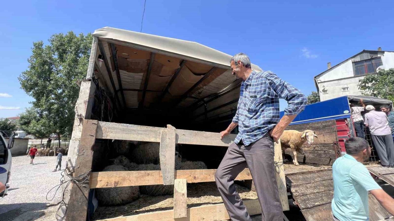 Bayrama sayılı günler kala kurban pazarlarında hareketlilik