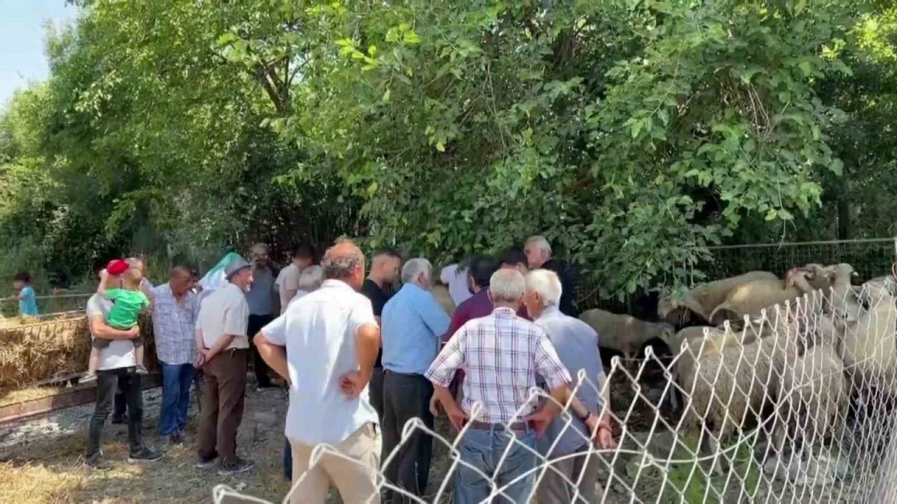 Bayrama sayılı günler kala kurban pazarlarında hareketlilik