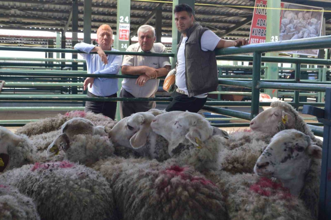 Tavşanlı’da hayvan pazarında ilk gün