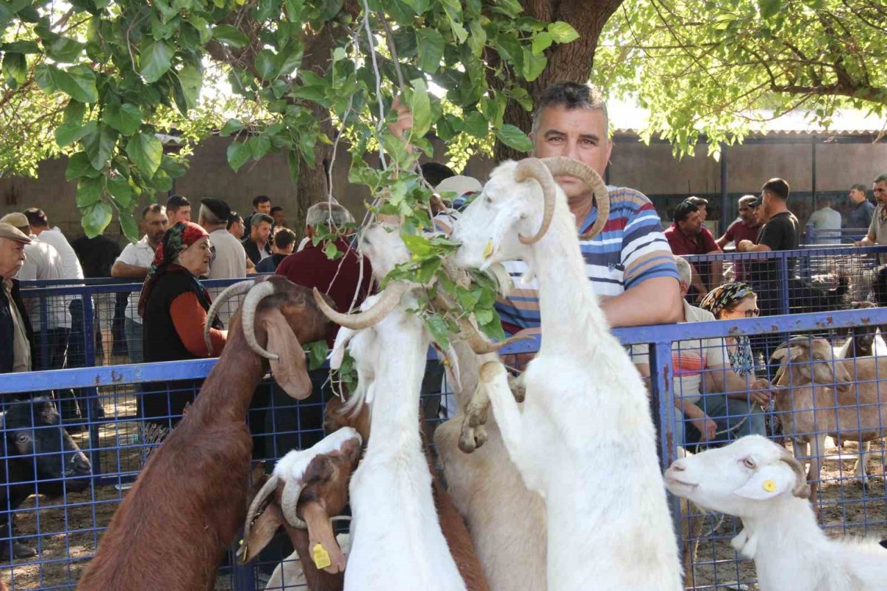 Muğla’da 102 kurban kesim noktası oluşturuldu