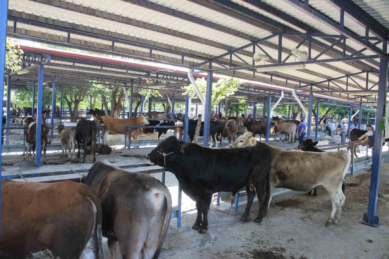 Muğla’da 102 kurban kesim noktası oluşturuldu