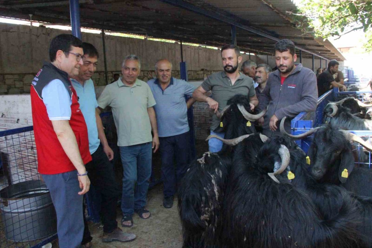 Muğla’da 102 kurban kesim noktası oluşturuldu