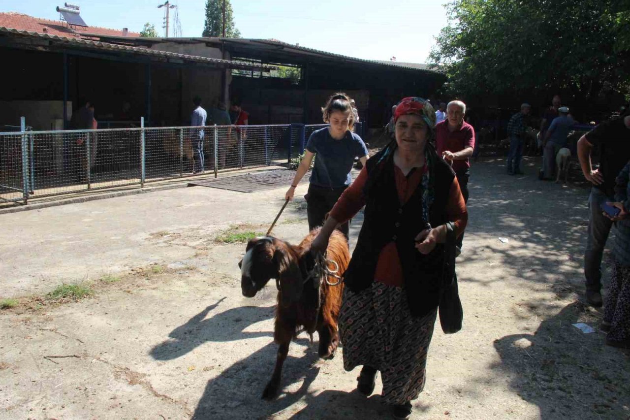 Muğla’da 102 kurban kesim noktası oluşturuldu