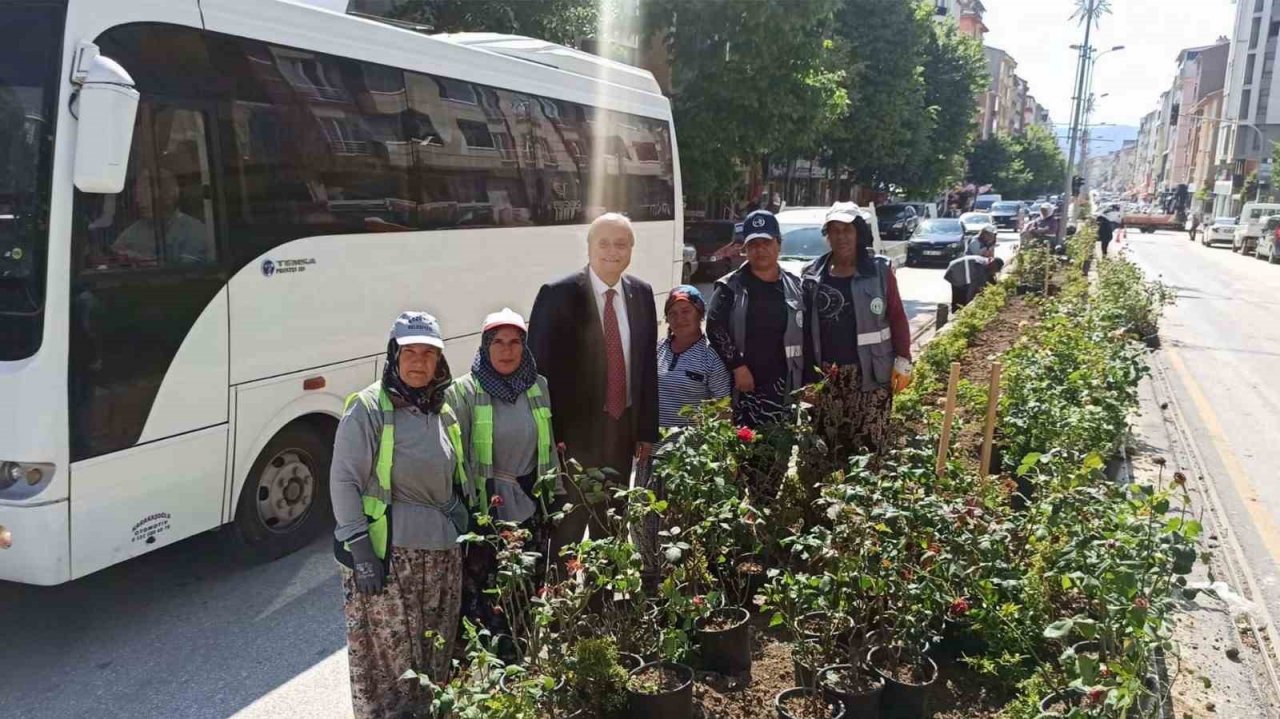 Kadın eli değince orta refüjler çiçek açtı