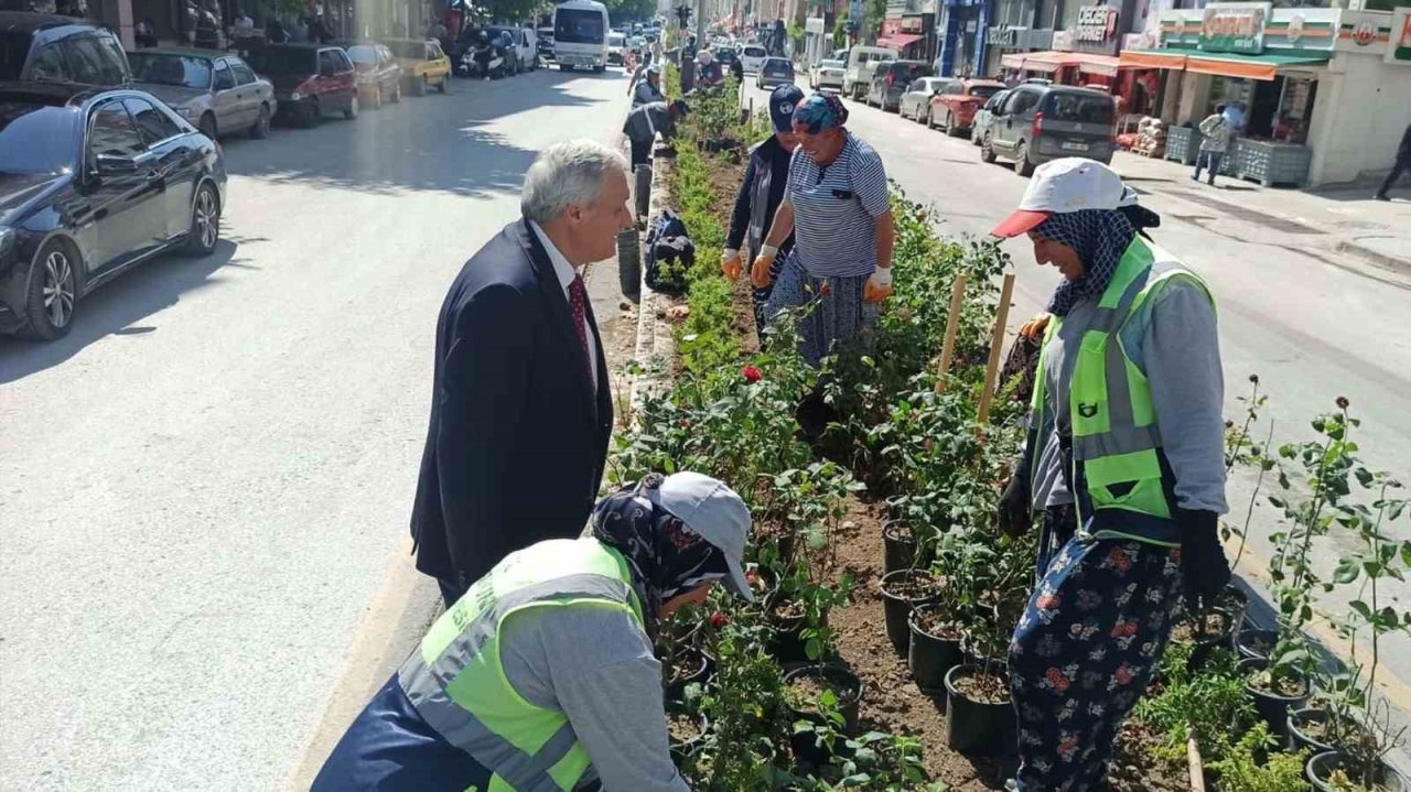 Kadın eli değince orta refüjler çiçek açtı