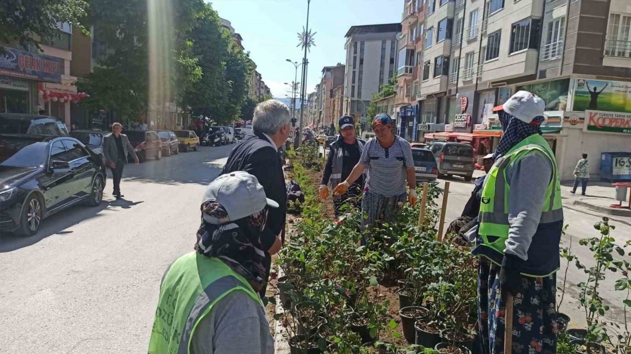 Kadın eli değince orta refüjler çiçek açtı