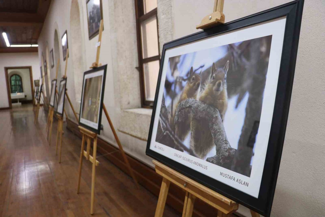 Yaban hayatı fotoğrafçısı, sattığı fotoğrafların gelirini lösemili çocuklara bağışladı