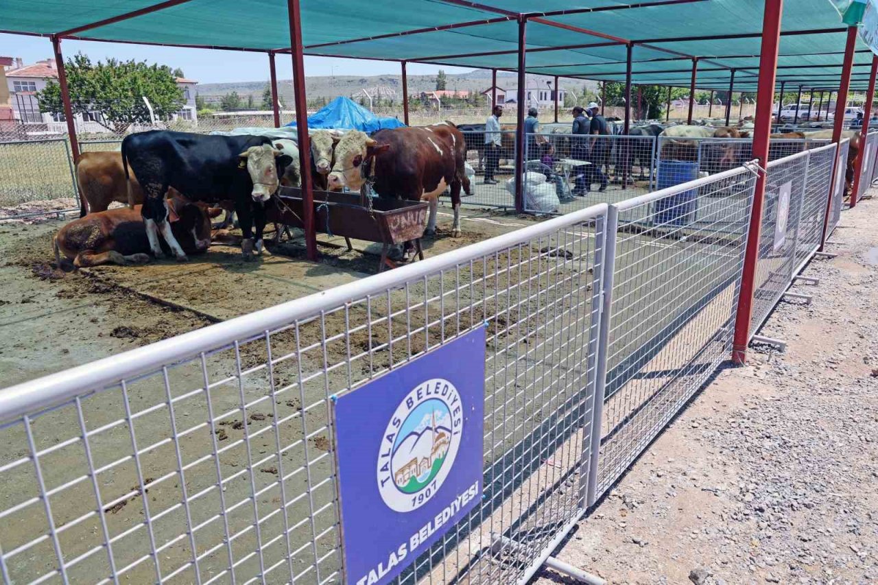 “Talas Kurban Pazarı’nda büyük bir hizmet yapılmış”