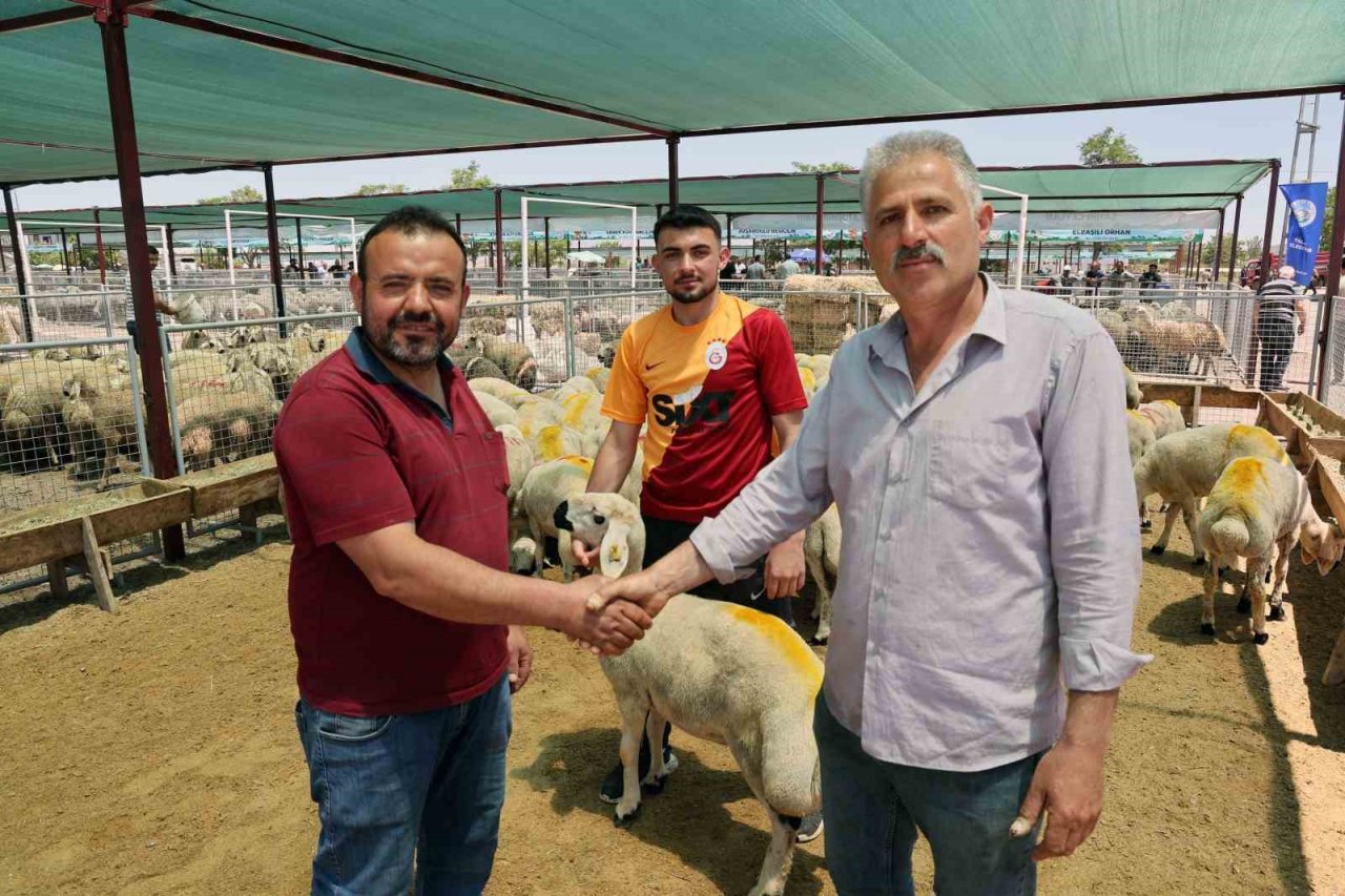 “Talas Kurban Pazarı’nda büyük bir hizmet yapılmış”