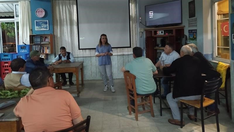 Aydın’da ’kestane gal arısı’ ile mücadele çalışmaları sürüyor