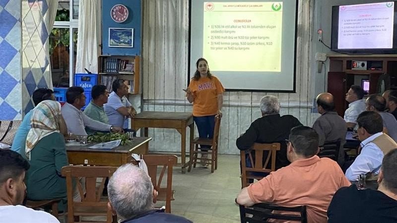 Aydın’da ’kestane gal arısı’ ile mücadele çalışmaları sürüyor