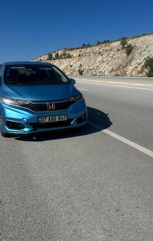 Yola aniden çıkan başıboş köpekler 2 ayrı kazaya sebep oldu