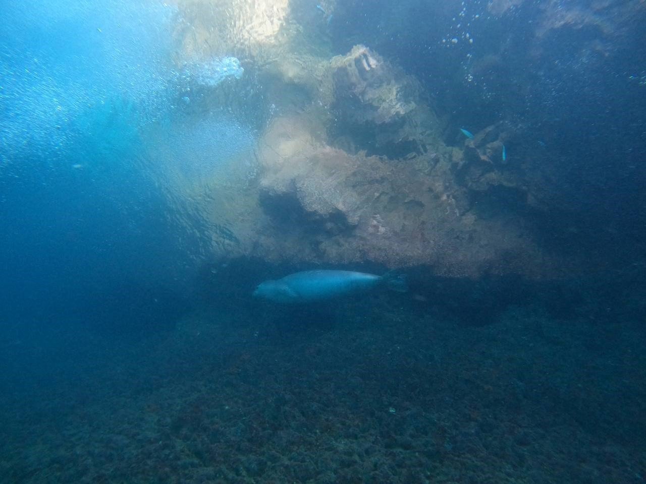 Antalya’da turistlerin yeni cazibesi noktası dünyaca ünlü falezlerin mağaraları
