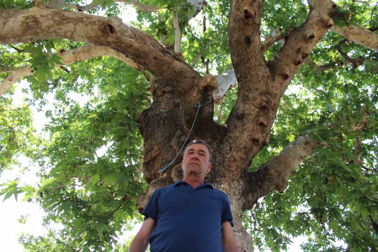 Şahnalı’nın tarihi Sekizpınarlar’ı eski günlerine kavuşmayı bekliyor