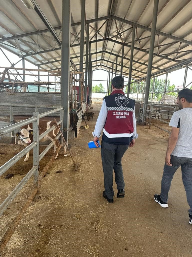 Bingöl’de kurbanlıklar ekipler tarafından kontrol ediliyor